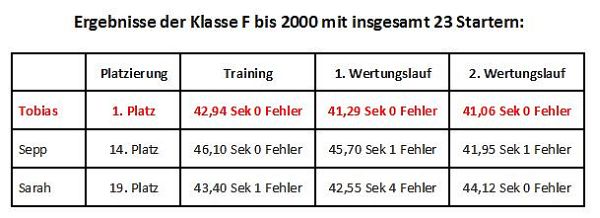 Ergebnis 1. Auto-Slalom